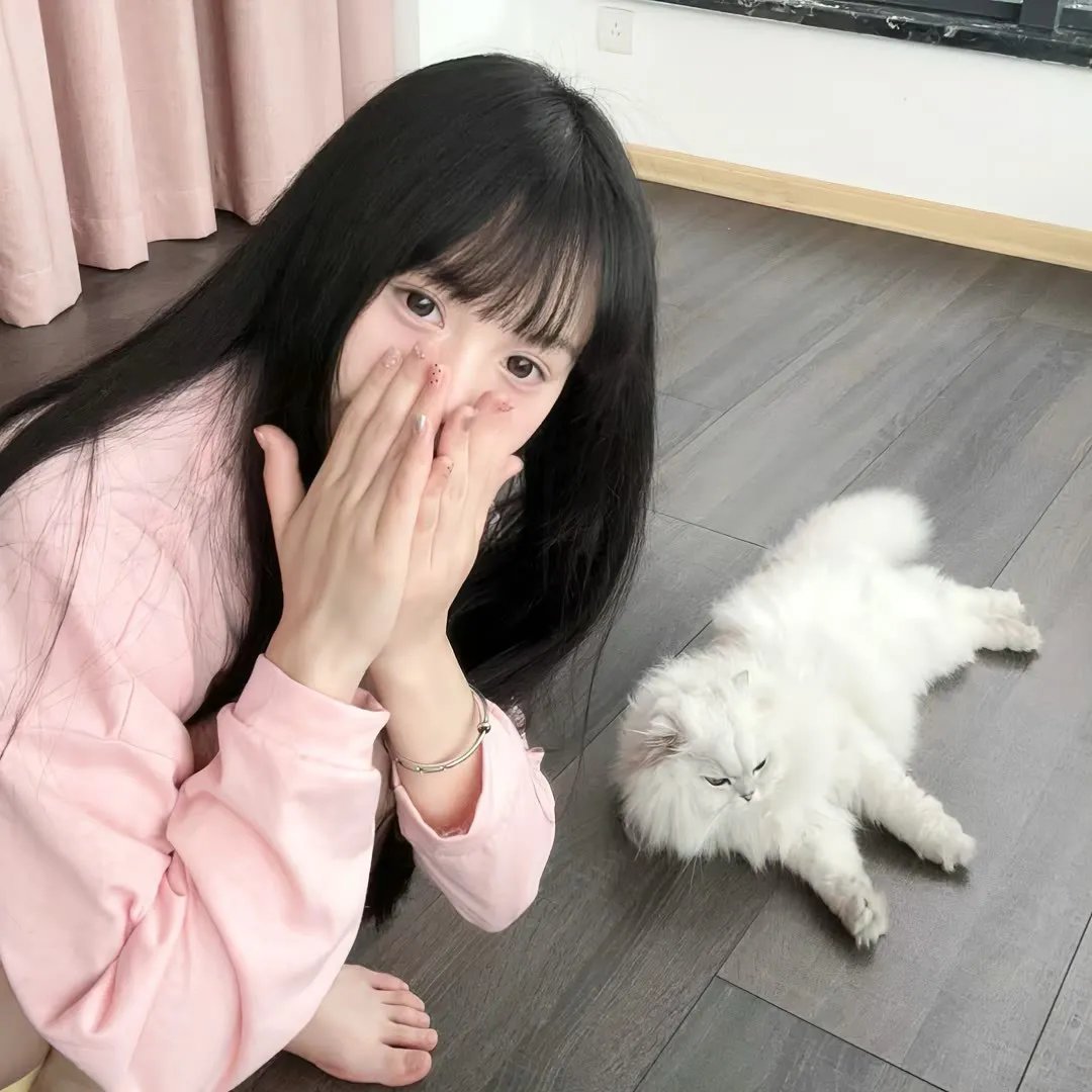 帕美嘉